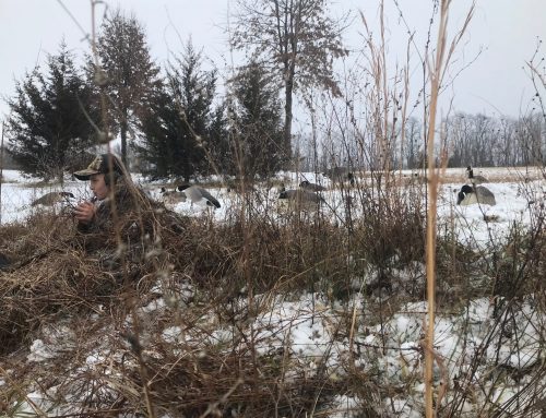 Goose season comes to a close